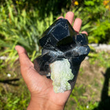 Lustrous Self-Standing Black Tourmaline Crystal with Hyalite, from Erongo Mountain, Erongo Region, Namibia