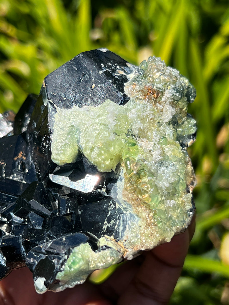 Lustrous Black Tourmaline with Hyalite, from Erongo Mountain, Erongo Region, Namibia