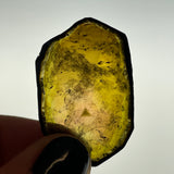 23.9 Carat Green Liddicoatite Slice, Rare Tourmaline from Antsirabe, Madagascar