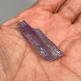 Tanzanite Pleochroic Crystal, Pink/Lavendar, Blue/Yellow 4.67g, Meralani Hills, Tanzania