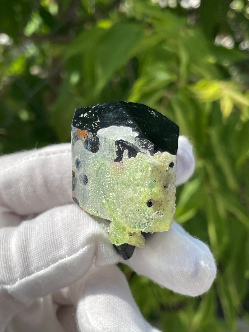 Black Tourmaline Crystal with Hyalite Opal, Mineral Specimen from Erongo Mountain, Erongo Region, Namibia