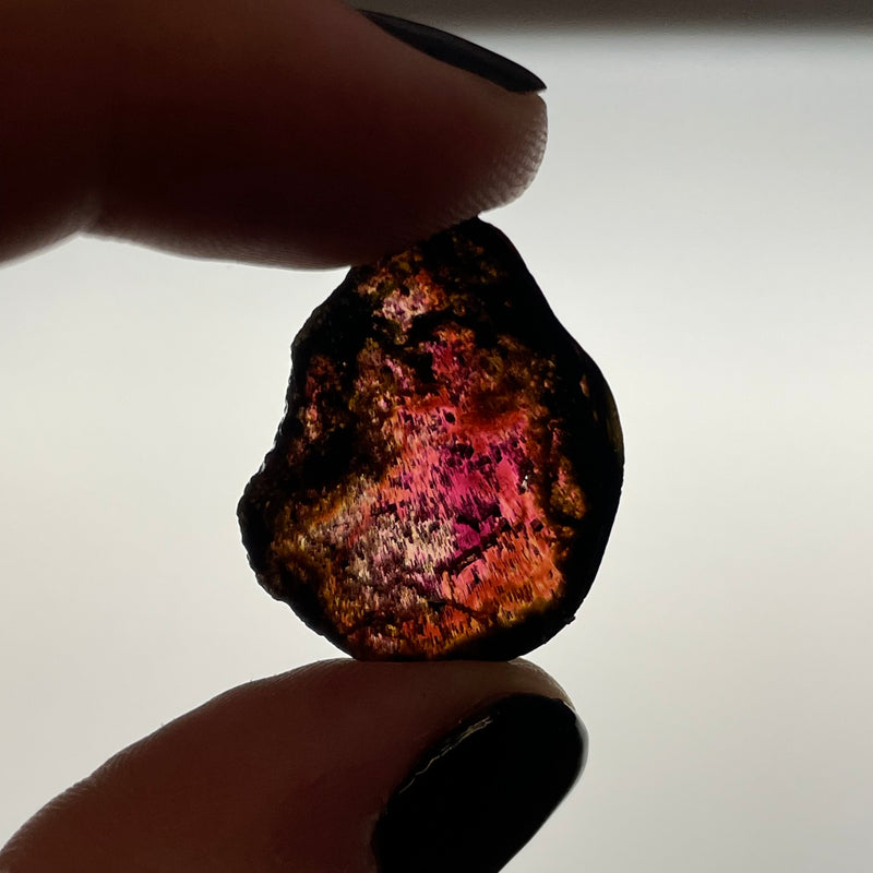 12.7 Carat Pink Liddicoatite Slice, Rare Tourmaline from Antsirabe, Madagascar