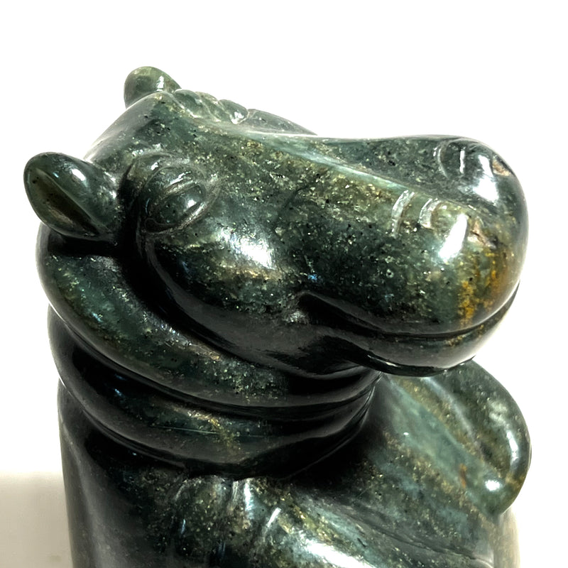 Soapstone Hippo, Shona Sculpture from Chitungwiza, Zimbabwe by Tracy Chatsama