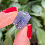 Tanzanite Crystal from Lelatema Mountains, Merelani Hills, Tanzania