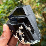 Lustrous Black Tourmaline Crystal, from Erongo Mountain, Erongo Region, Namibia