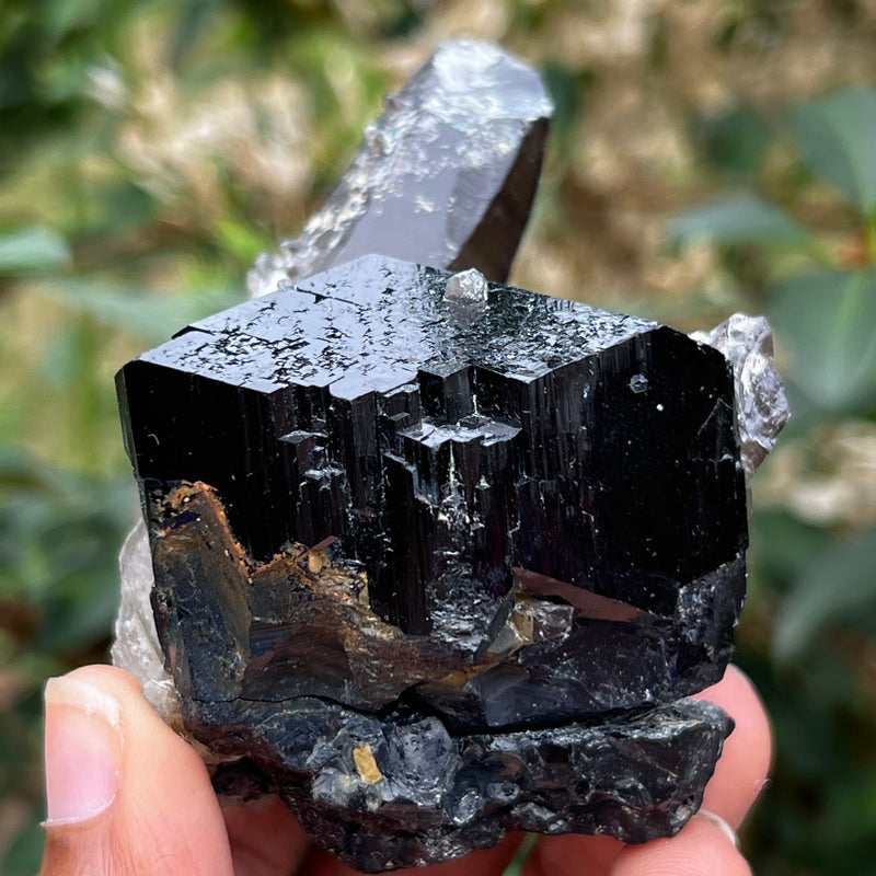 Quartz crystal with black tourmaline deals