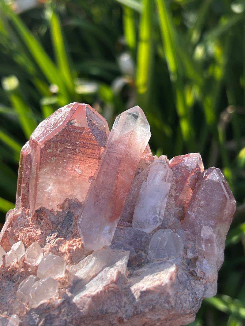 Gorgeous Self-Standing Ishuko Red Phantom Quartz, Hematite included Quartz from the Central Province of Zambia