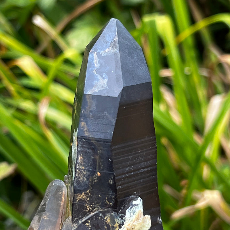 Gorgeous Self-Standing Smokey Quartz with Hyalite, Erongo Mountain, Erongo Region, Namibia