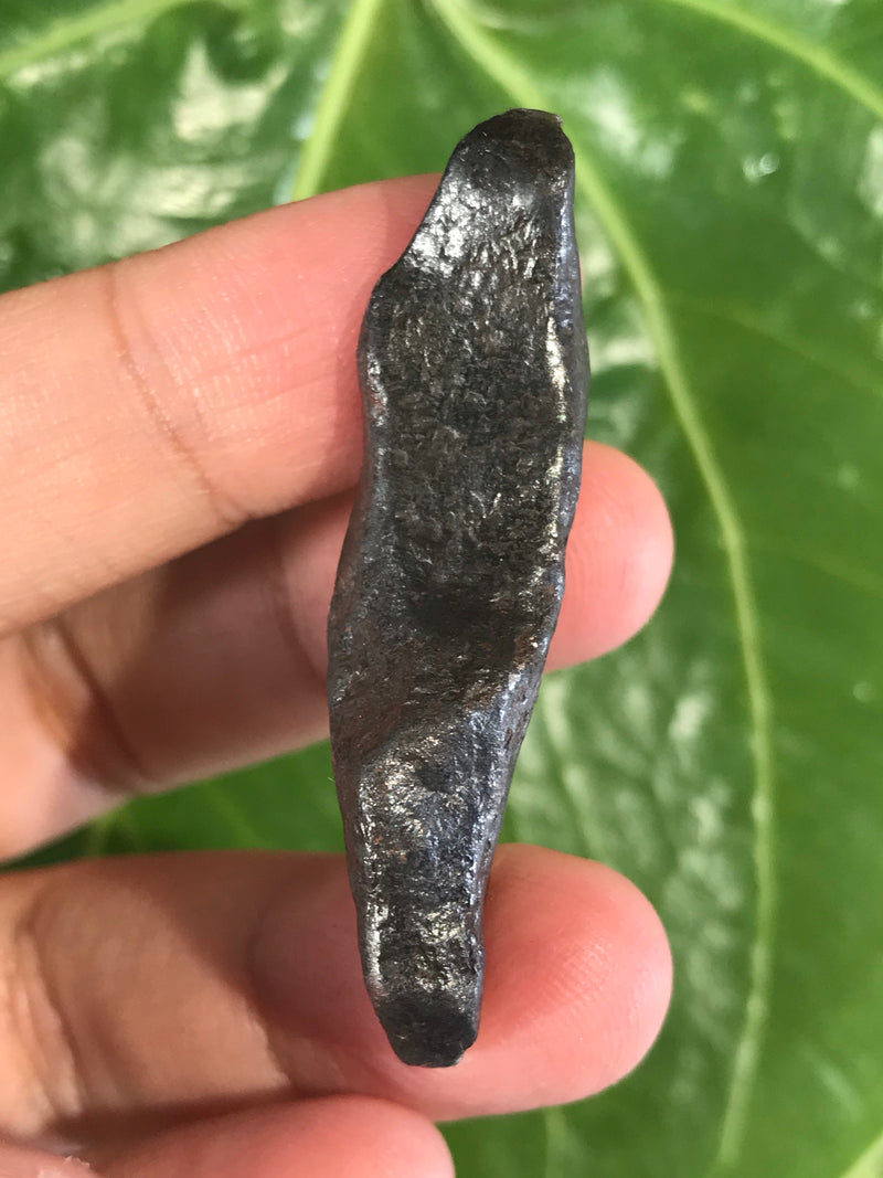 Bird shaped COMPLETE GIBEON METEORITE, 20 g Iron and nickel meteorite, Gibeon, Namibia