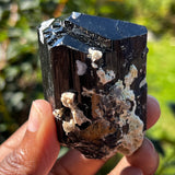 Lustrous Black Tourmaline Crystal with Feldspar and Hyalite, from Erongo Mountain, Erongo Region, Namibia