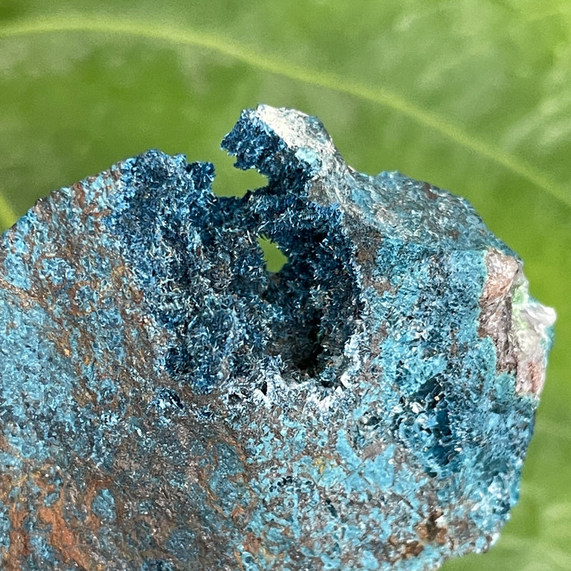 Fibrous Blue Shattuckite on Matrix, Mesopotamia Copper Valley, Kunene, Namibia, African Mineral Specimen