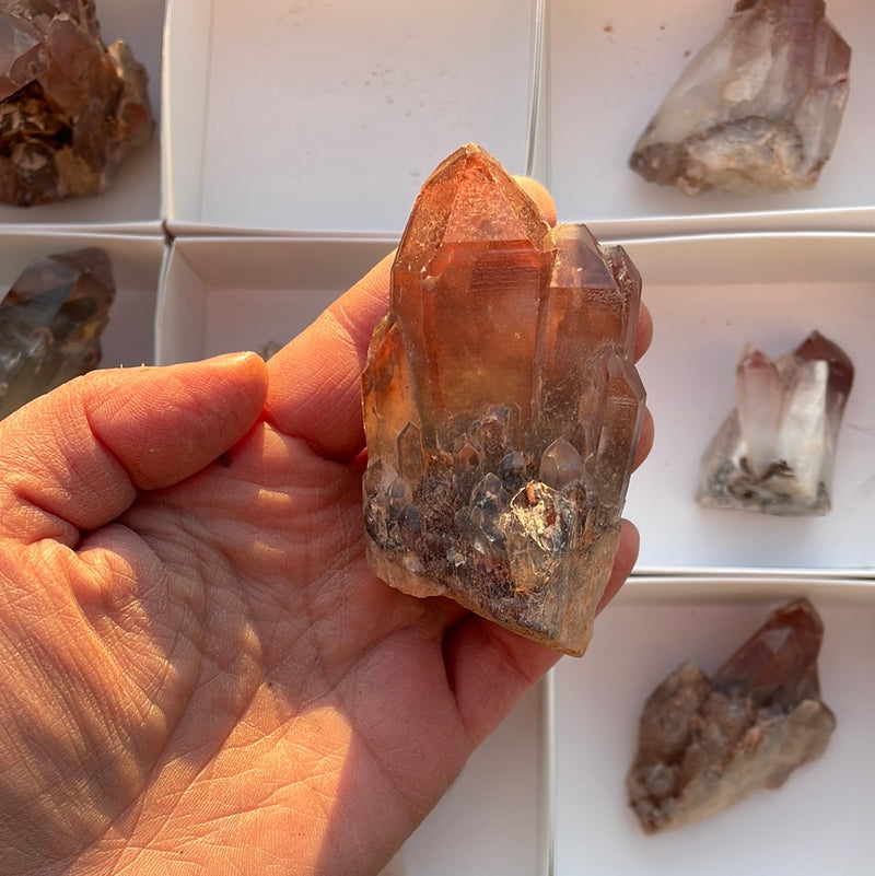 1.46kg Lot of 12 Ishuko Red Phantom Quartz, Hematite included Quartz from the Central Province of Zambia