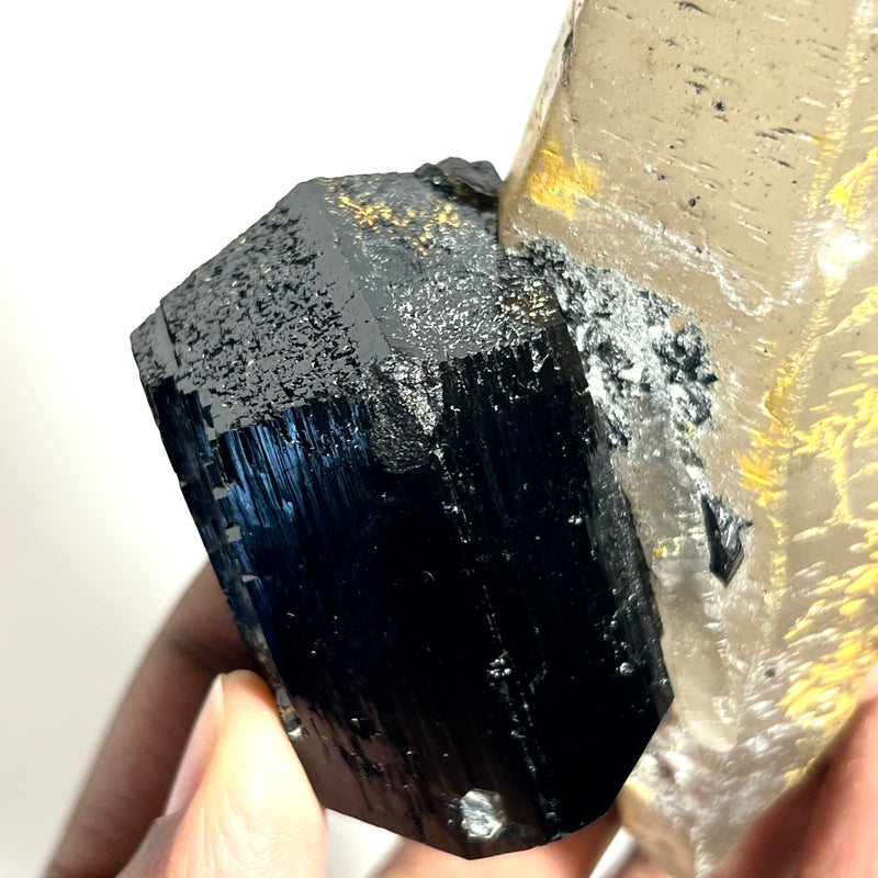 Smoky Quartz Point with Black Tourmaline Crystal, from Erongo Mountain, Erongo Region, Namibia