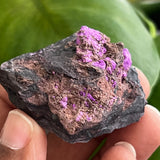 Sugilite from N’chwaning Mine III, Kalahari Manganese Field, Northern Cape, South Africa