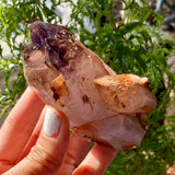 Shangaan Amethyst with Quartz From Zimbabwe