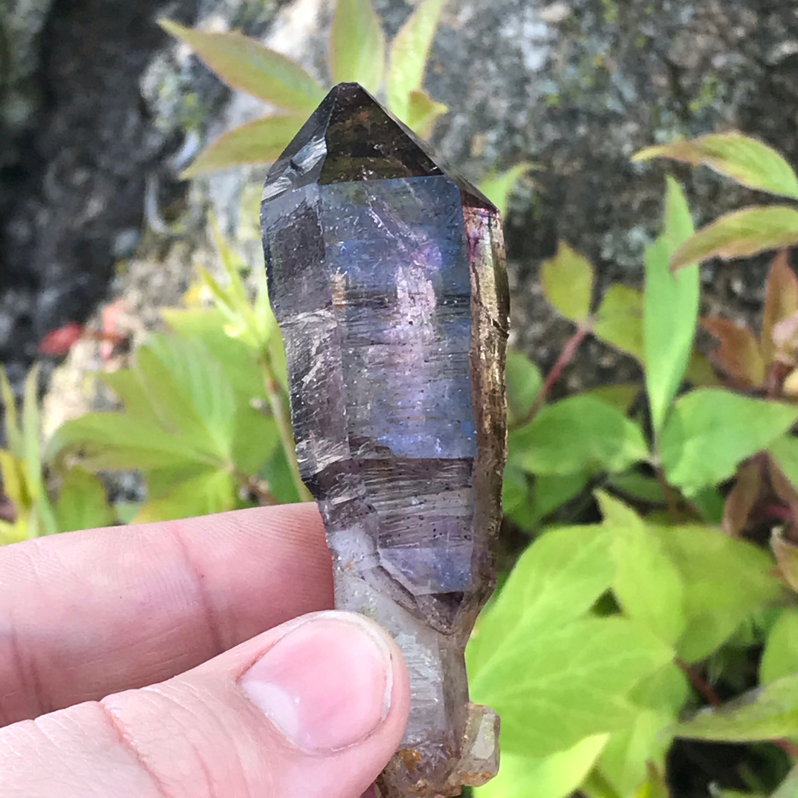 Phantom Shangaan Smokey Amethyst Sceptre from Chibuku Mine