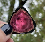 21.8 Carat Pink Liddicoatite Slice, Rare Tourmaline from Antsirabe, Madagascar