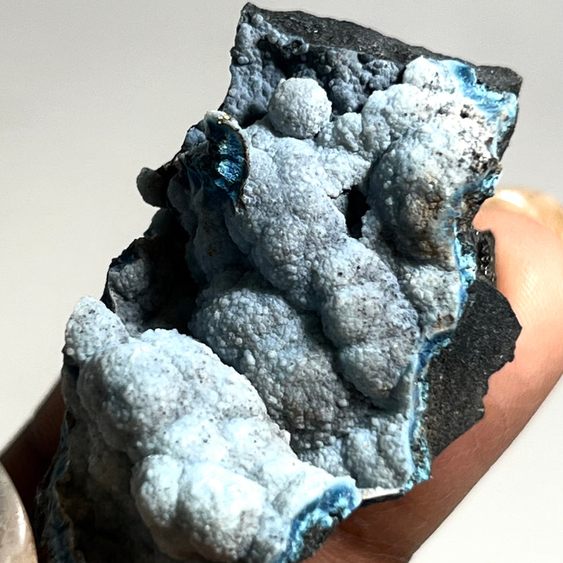 Botryoidal Blue Shattuckite, Mesopotamia Copper Valley, Kunene, Namibia, African Mineral Specimen