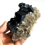 Self-Standing Lustrous Black Tourmaline with Smoky Quartz, from Erongo Mountain, Erongo Region, Namibia