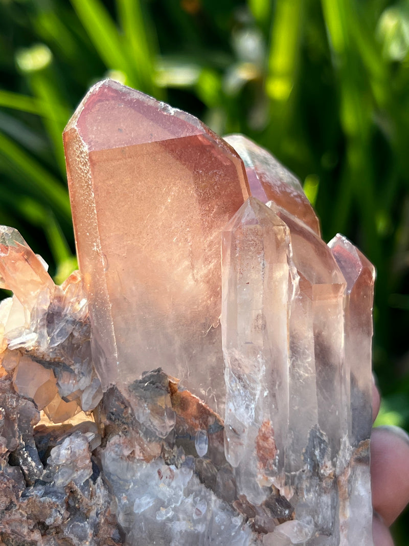 Gorgeous Self-Standing Ishuko Red Phantom Quartz, Hematite included Quartz from the Central Province of Zambia