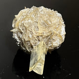 Gypsum Var. Selenite, Fluorescent and Phosphorescent. Red River Floodway, Winnipeg, Manitoba, Canada