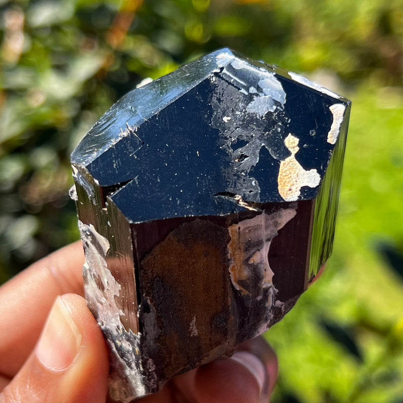 Lustrous Black Tourmaline Crystal with Feldspar and Hyalite, from Erongo Mountain, Erongo Region, Namibia