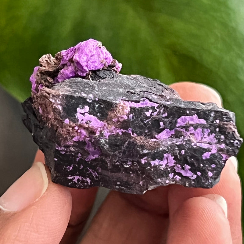 Sugilite from N’chwaning Mine III, Kalahari Manganese Field, Northern Cape, South Africa