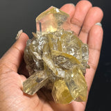 Gypsum Var. Selenite, Fluorescent and Phosphorescent. Red River Floodway, Winnipeg, Manitoba, Canada