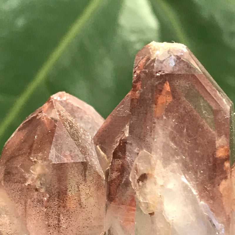 Self Standing Ishuko Red Phantom Quartz Cluster on White Quartz Base, Hematite included Quartz from the Central Province of Zambia