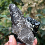 Black Tourmaline Crystal with Smoky Quartz Antenna from Rondekop, Erongo Mountain, Erongo Region, Namibia