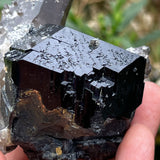 Black Tourmaline Crystal with Smoky Quartz Antenna from Rondekop, Erongo Mountain, Erongo Region, Namibia