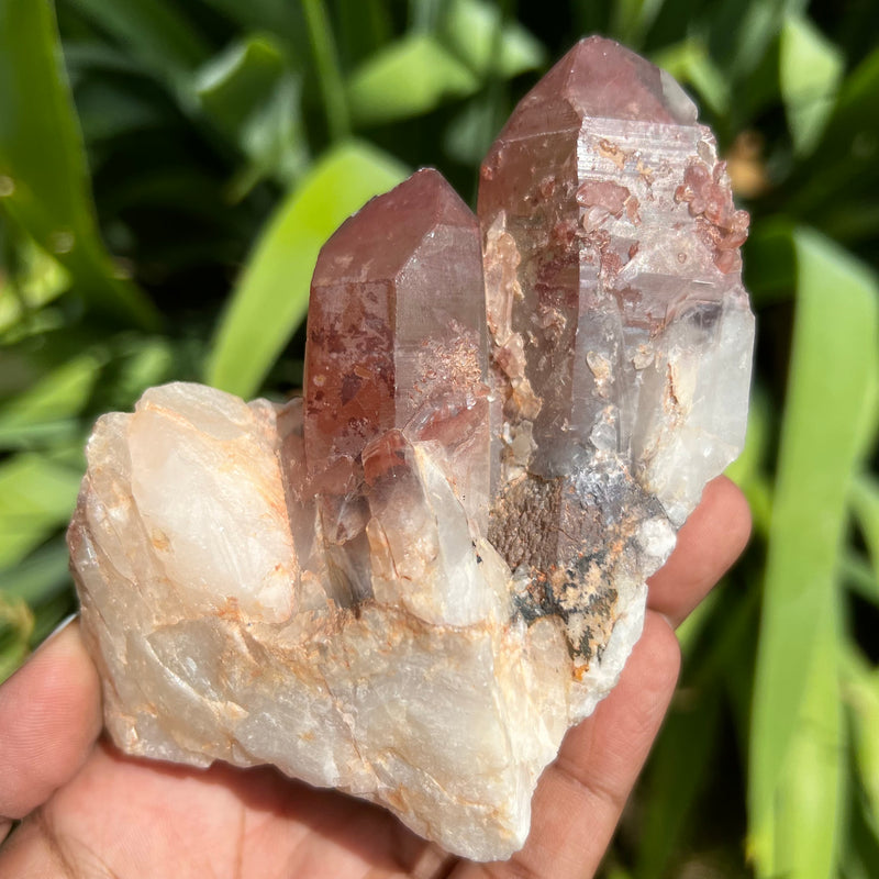 Gorgeous Ishuko Red Phantom Quartz, Hematite included Quartz from the Central Province of Zambia