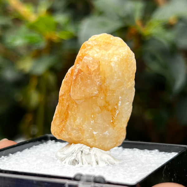 Raw Phenakite Crystal, Okuta-didan Mine (Shining Star) Mine, Jos Plateau, Nigeria