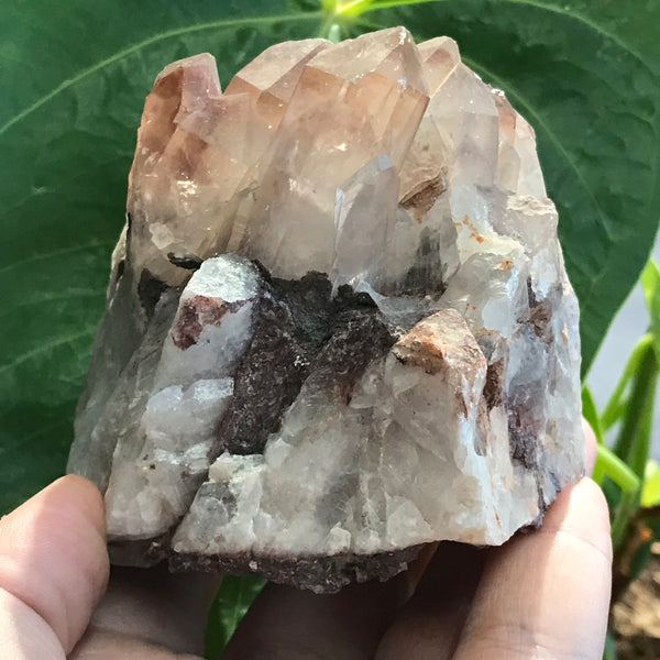 Large Ishuko Red Phantom Quartz Cluster, Hematite included Quartz from the Central Province of Zambia