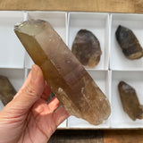 8 Pieces of Natural Zambian Citrine, Wholesale Flat