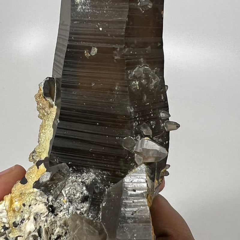 Gorgeous Self-Standing Smokey Quartz with Hyalite, Erongo Mountain, Erongo Region, Namibia