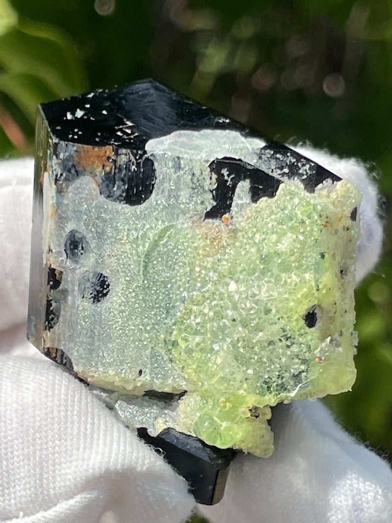 Black Tourmaline Crystal with Hyalite Opal, Mineral Specimen from Erongo Mountain, Erongo Region, Namibia