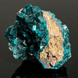 Druzy Dioptase Crystal, Mineral Specimen from Katanga, DR Congo