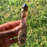 5.5" Shangaan Amethyst Scepter From Chibuku Mine, Zimbabwe