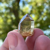 Over 1lb Lot of Kundalini Quartz Citrine, Democratic Republic of Congo, Lwena, Congo Citrine