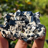 Lustrous Black Tourmaline Crystal with Feldspar, from Erongo Mountain, Erongo Region, Namibia