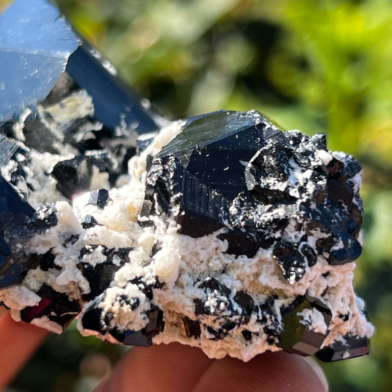 Lustrous Black Tourmaline Crystal with Feldspar, from Erongo Mountain, Erongo Region, Namibia