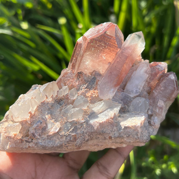 Gorgeous Self-Standing Ishuko Red Phantom Quartz, Hematite included Quartz from the Central Province of Zambia