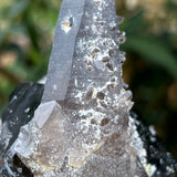 Black Tourmaline Crystal with Smoky Quartz Antenna from Rondekop, Erongo Mountain, Erongo Region, Namibia