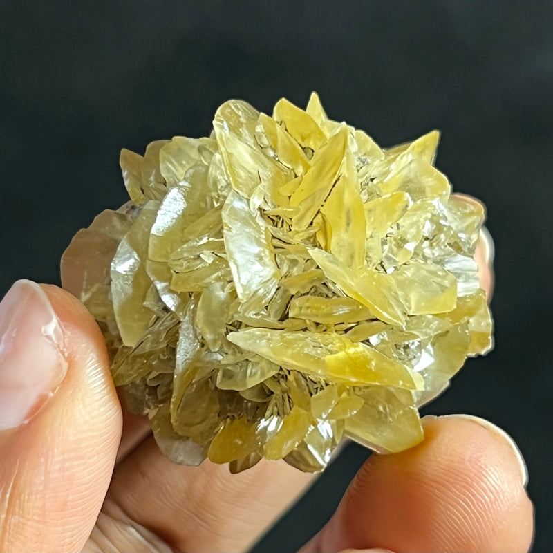 Gypsum Var. Selenite, Fluorescent and Phosphorescent. Red River Floodway, Winnipeg, Manitoba, Canada