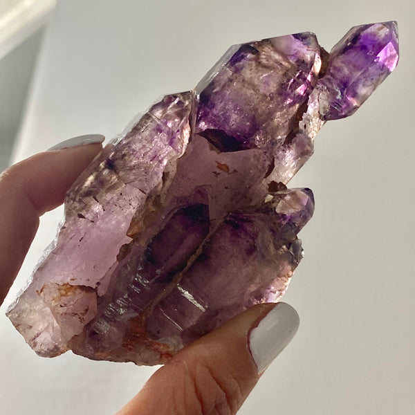 Multiple Terminated Shangaan Amethyst, From Zimbabwe