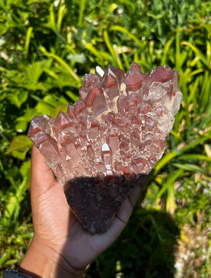 Huge Gorgeous Self-Standing Ishuko Red Phantom Quartz, Hematite included Quartz from the Central Province of Zambia