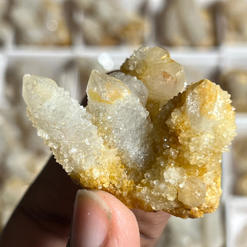 1 piece of Witch’s Finger Quartz from Boukenhoethoek, South Africa