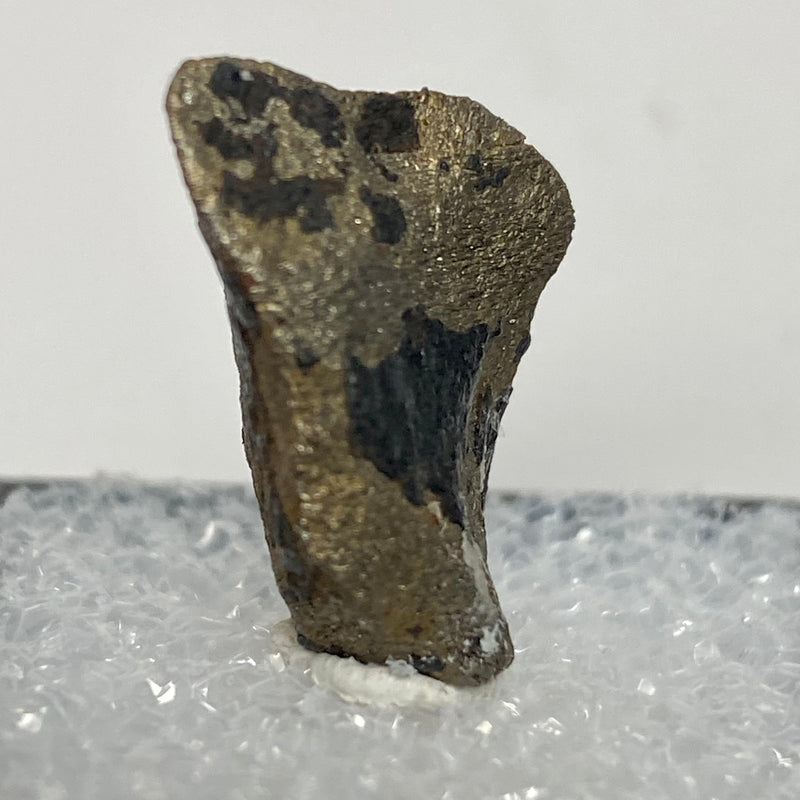 Gibeon Meteorite, offcut Iron Meteorite, Gibeon, Namibia