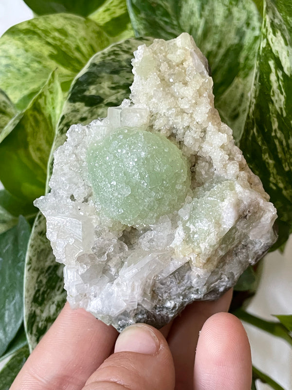 Prehnite on Quartz Matrix, Specimen from Xoboxobos, Brandberg District, Namibia